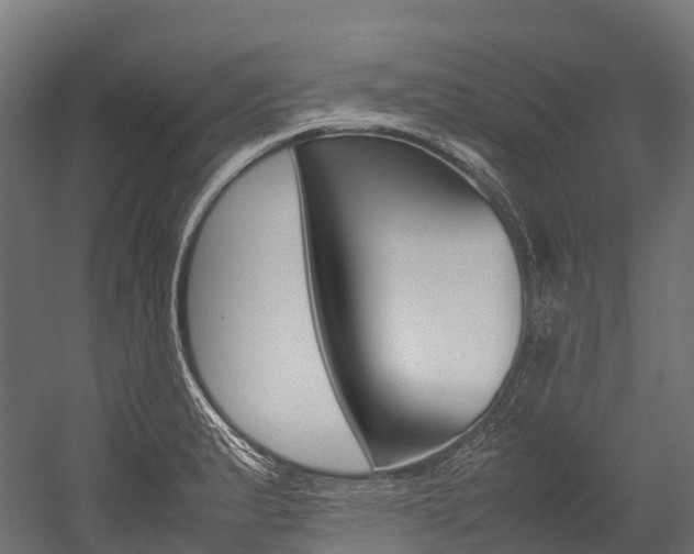 X0000054431183200507290944
