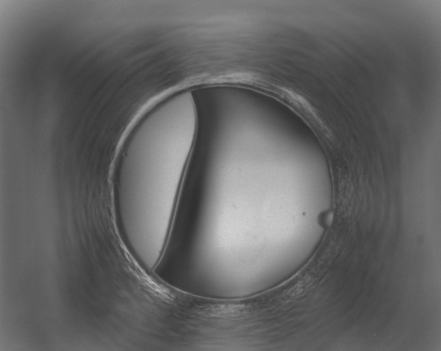 X0000054431184200507290944