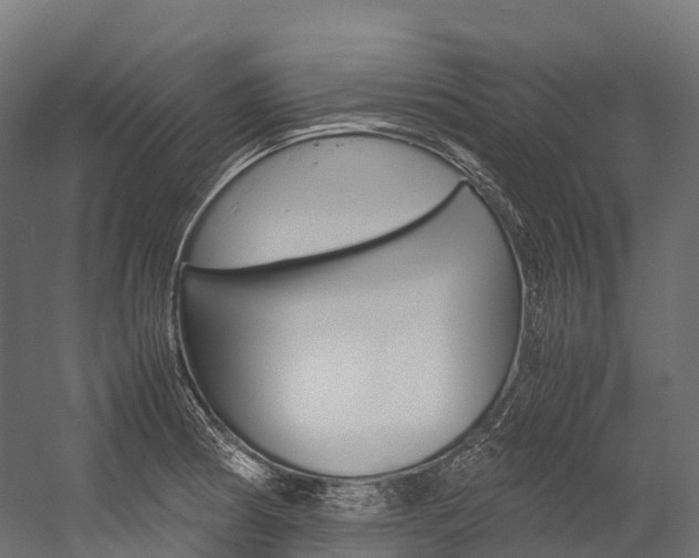 X0000054431186200507290944