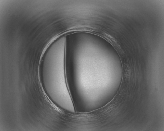 X0000054431188200507290944