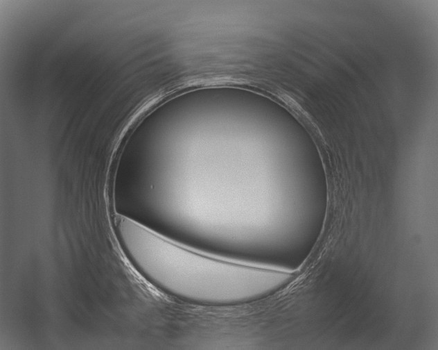 X0000054431189200507290944