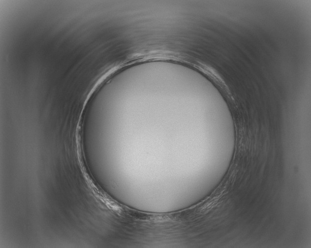 X0000054431190200507290944