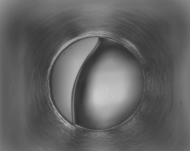 X0000054431192200507290944