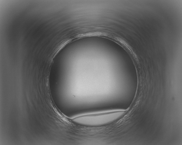 X0000054431193200507290944