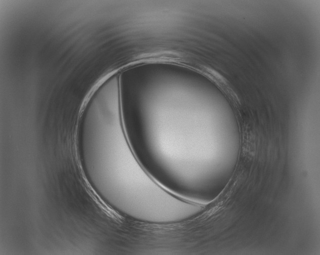 X0000054431196200507290944