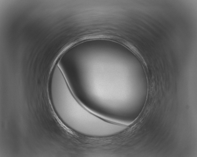 X0000054431197200507290944