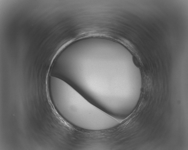 X0000054431198200507290944
