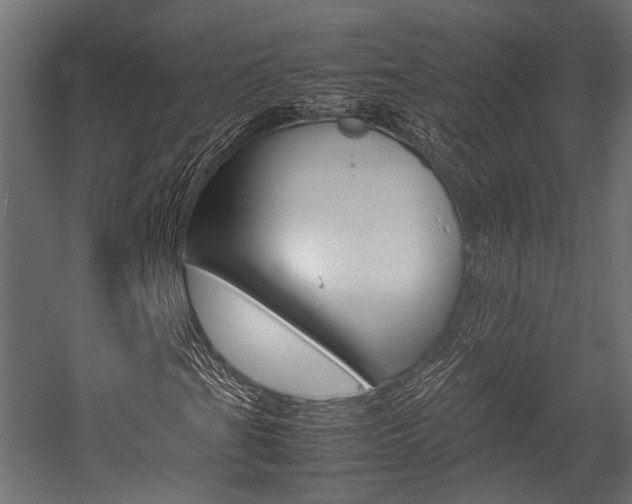 X0000054431201200507290943