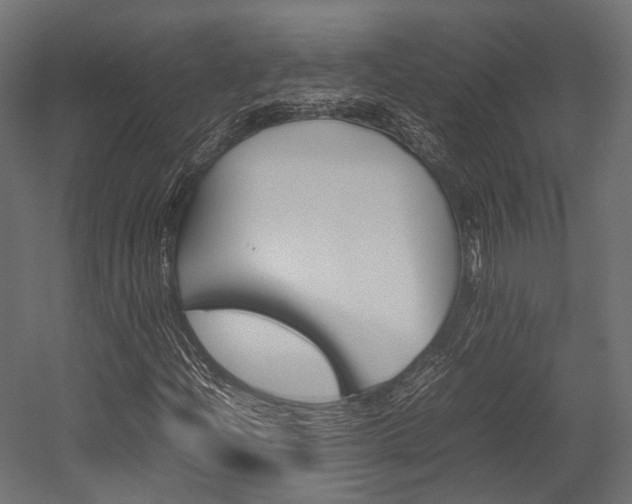 X0000054431204200507290943