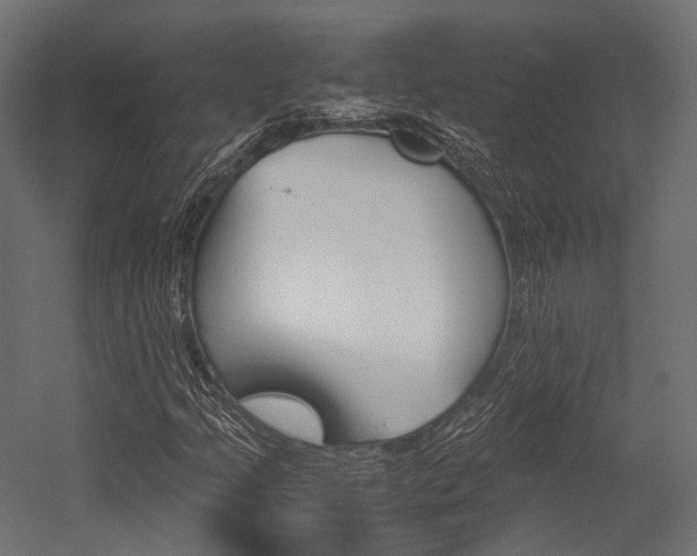 X0000054431205200507290943