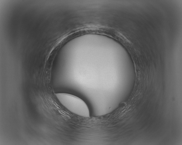 X0000054431208200507290943