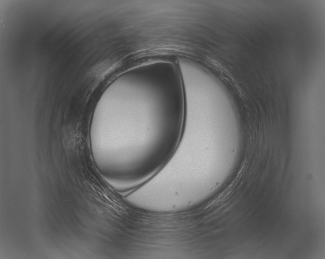 X0000054431210200507290943