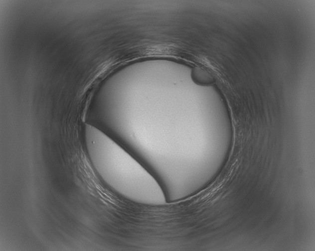X0000054431211200507290943