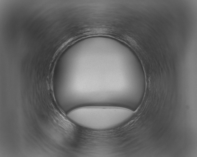 X0000054431212200507290943