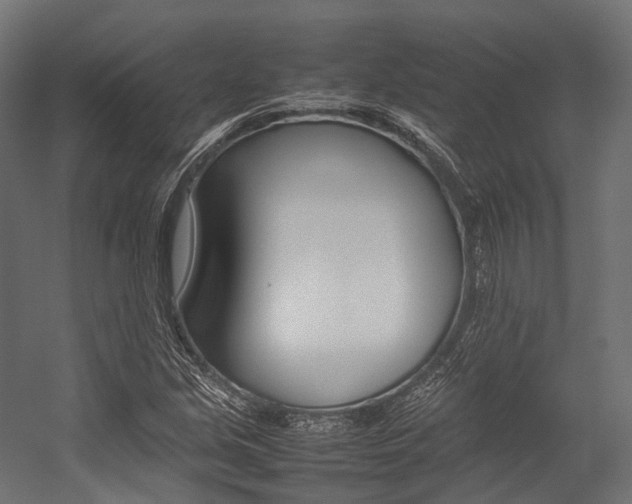 X0000054431213200507290943