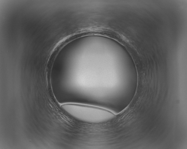 X0000054431214200507290943