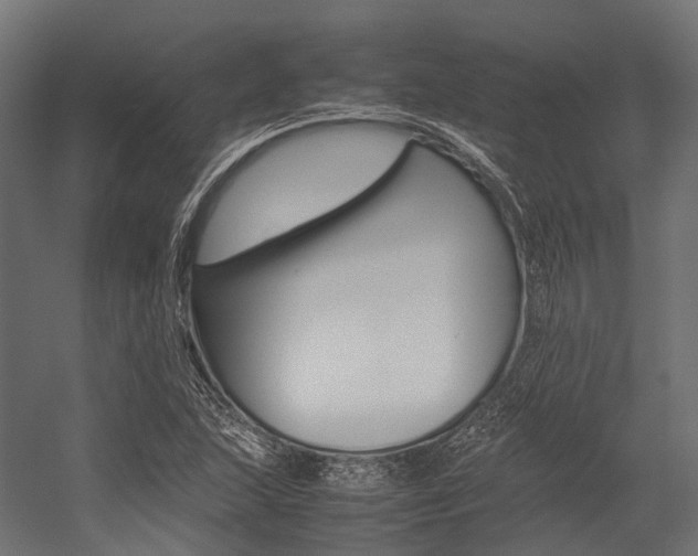X0000054431215200507290943