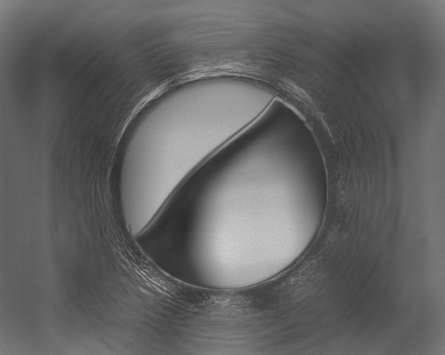 X0000054431218200507290943