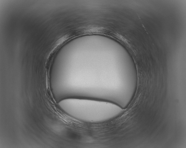 X0000054431219200507290943