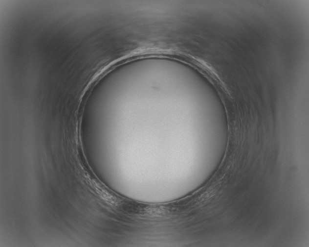 X0000054431220200507290943