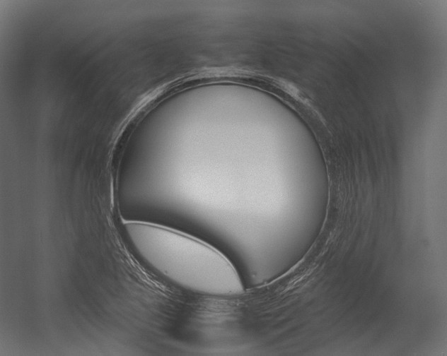 X0000054431221200507290943