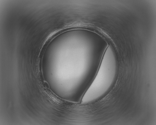 X0000054431222200507290943