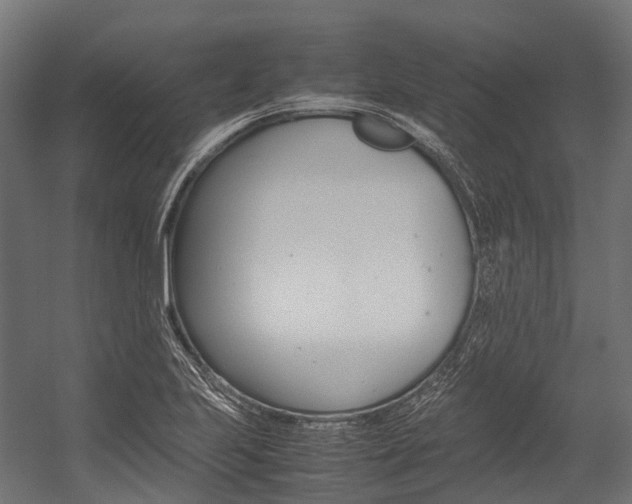 X0000054431223200507290943