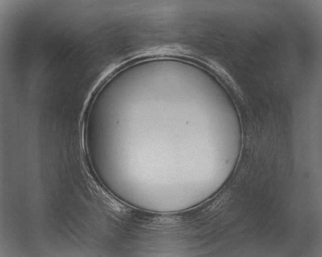 X0000054431224200507290943