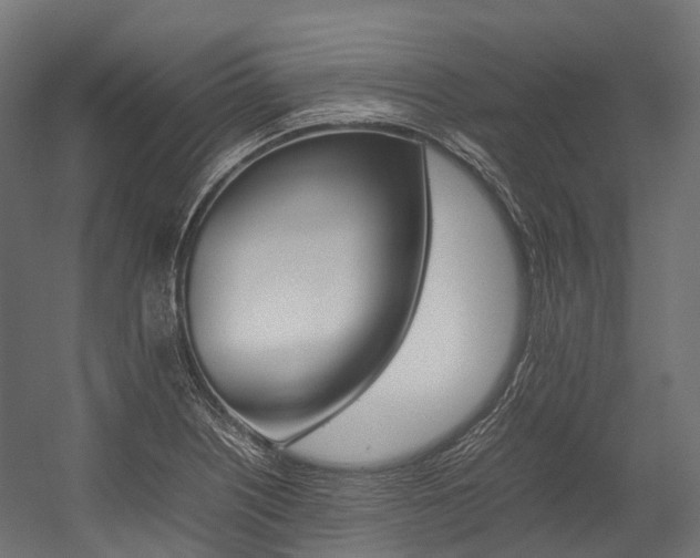 X0000054431226200507290943