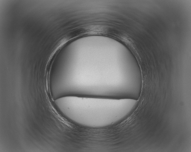 X0000054431227200507290943