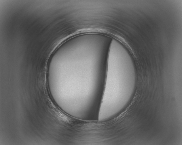 X0000054431228200507290943