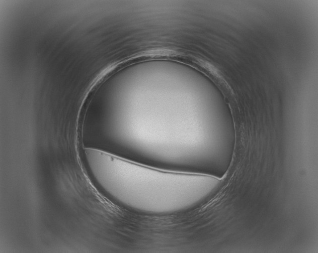 X0000054431229200507290943