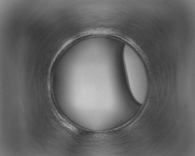 X0000054431232200507290943
