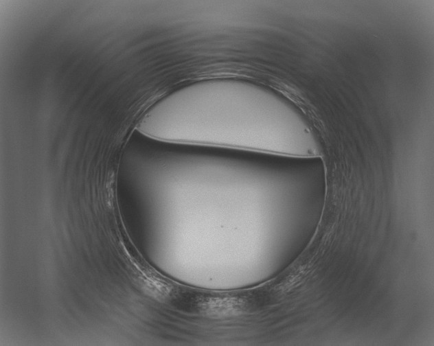 X0000054431233200507290943
