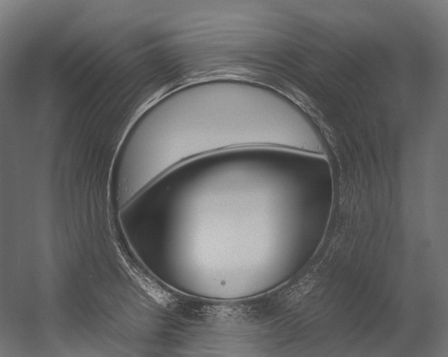 X0000054431234200507290943