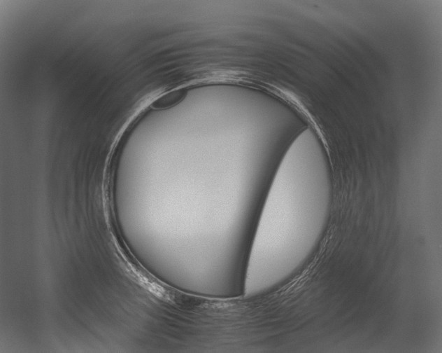 X0000054431235200507290943