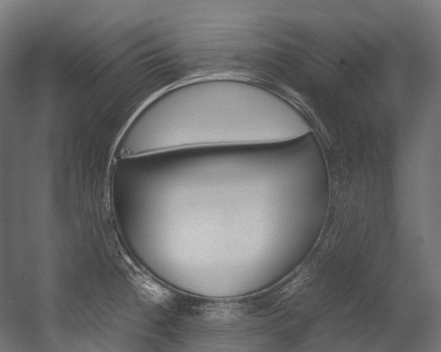 X0000054431236200507290943