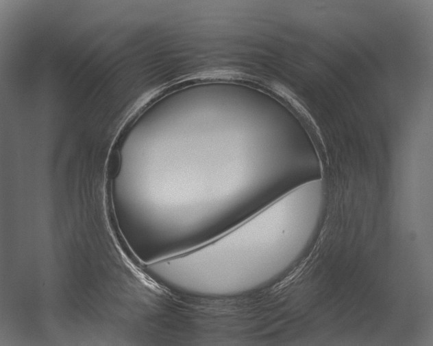X0000054431237200507290943