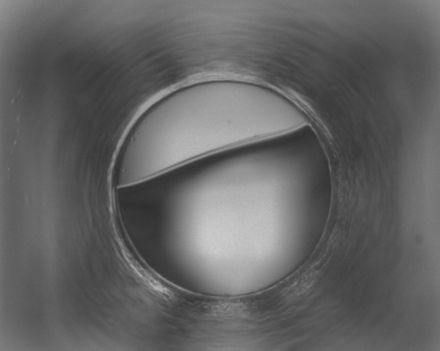 X0000054431238200507290943