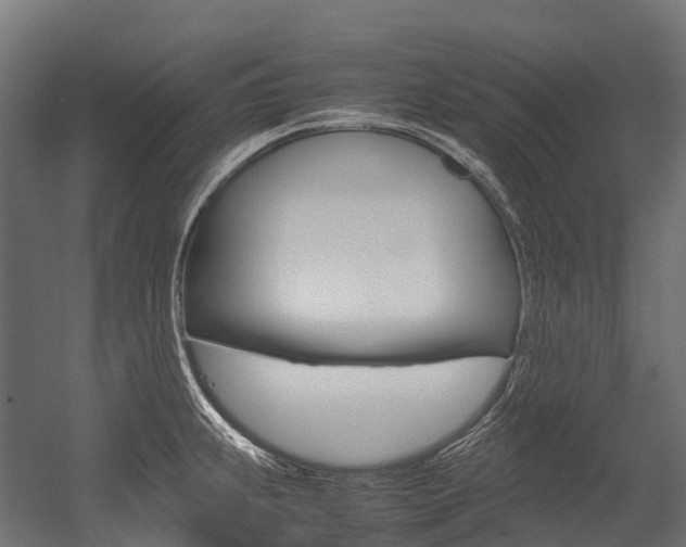 X0000054431239200507290943