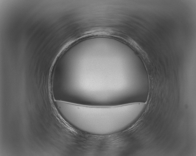 X0000054431240200507290943