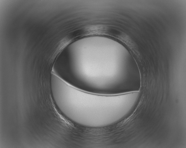 X0000054431241200507290943