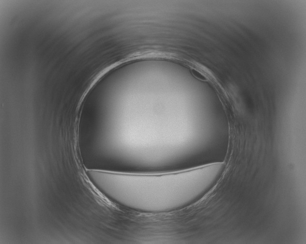 X0000054431244200507290944