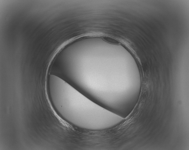 X0000054431245200507290944