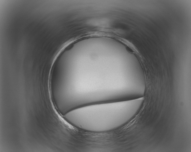 X0000054431247200507290944