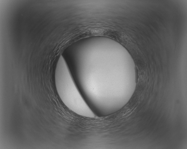 X0000054431249200507290943