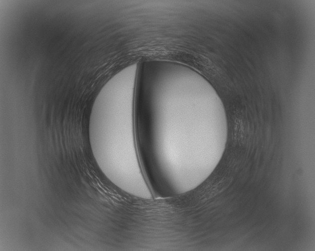 X0000054431250200507290943