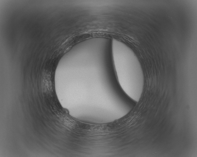 X0000054431252200507290943