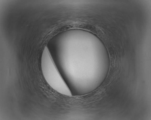 X0000054431253200507290943