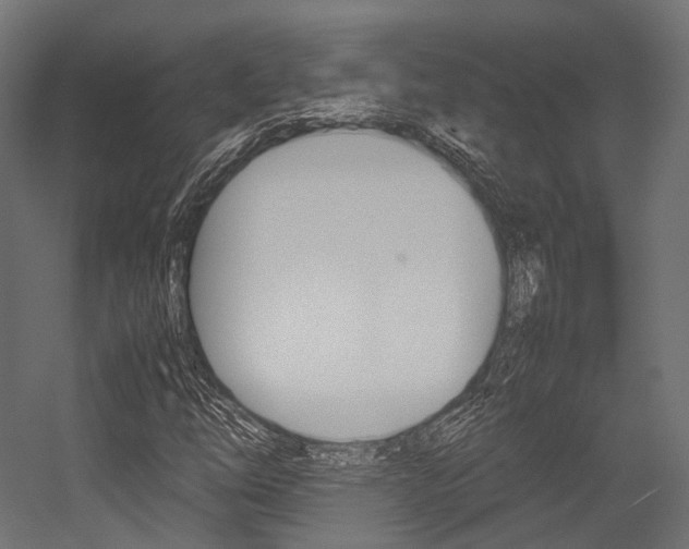 X0000054431254200507290943